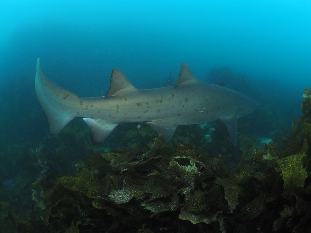 26738ced-c33a-4d64-a4b1-5671064c1aea