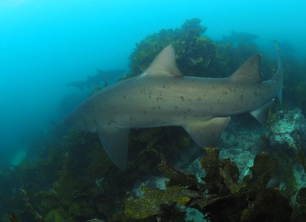 26738ced-c33a-4d64-a4b1-5671064c1aea