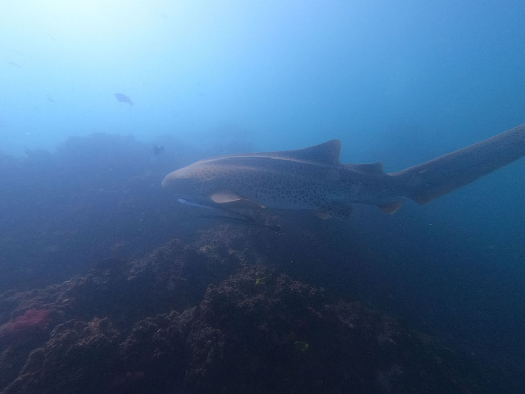 40f7bcb9-0337-4219-a7db-541434ac1625