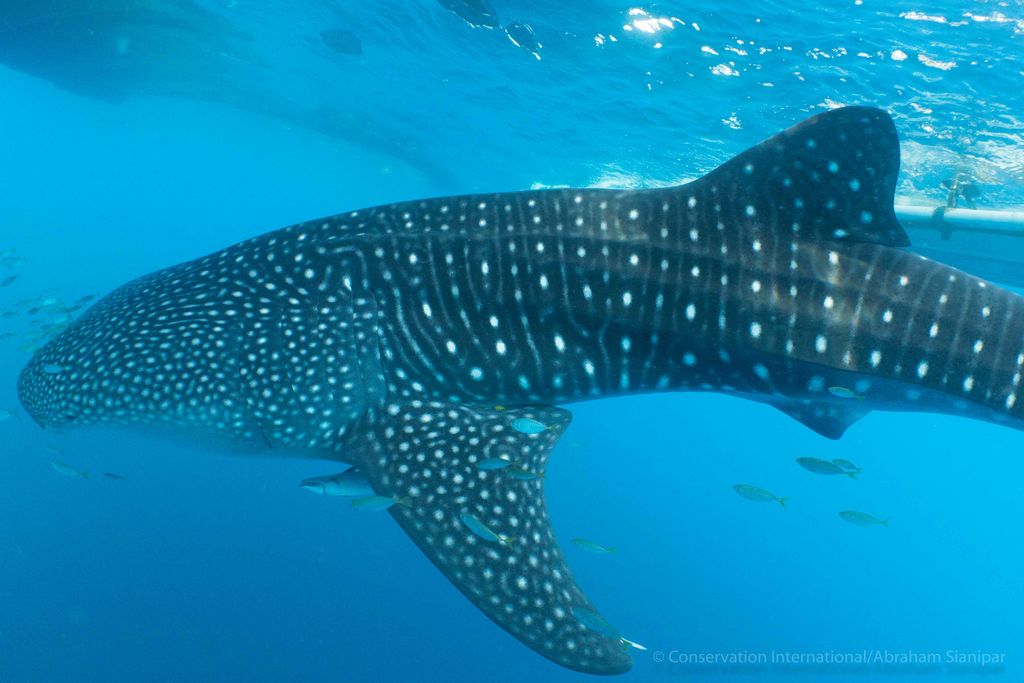 f57d79bb-02fa-4fa9-8873-df8998de9530