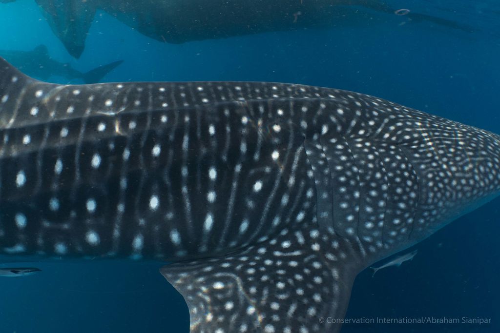 f57d79bb-02fa-4fa9-8873-df8998de9530