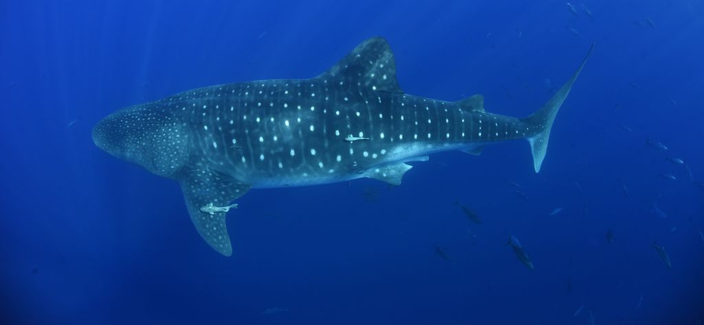 e353bbda-8896-4d4d-93ce-13ff85a590f3