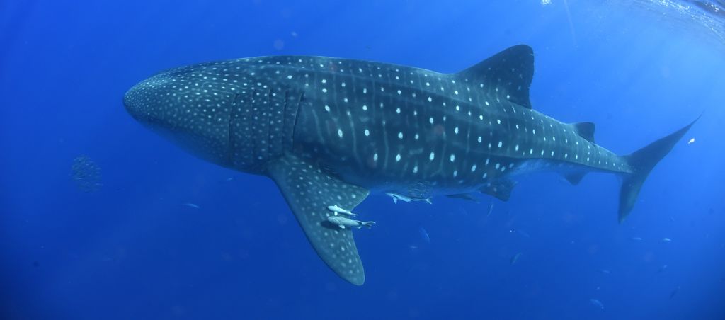 e353bbda-8896-4d4d-93ce-13ff85a590f3