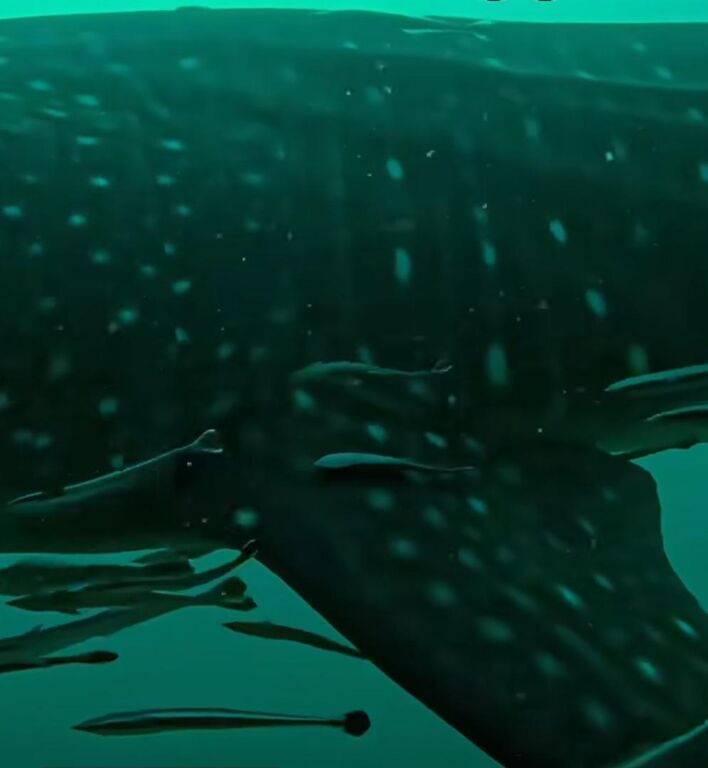 fde27997-a7ea-475e-a473-a4fc2ed27fc1