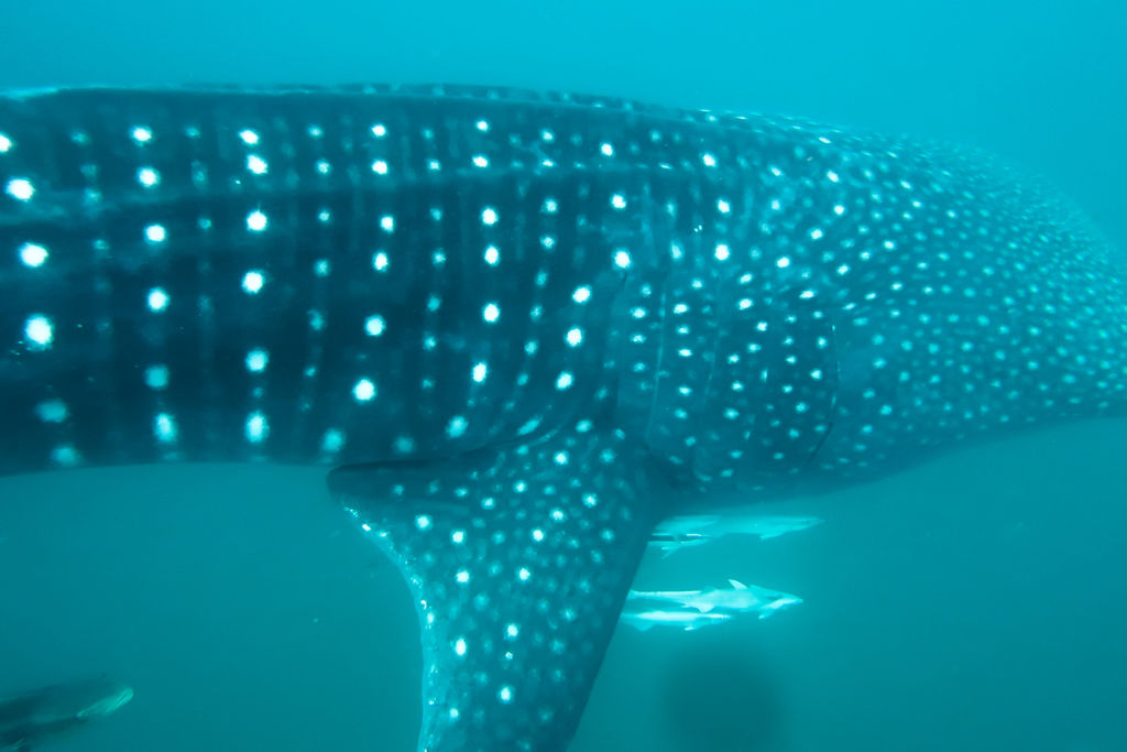 5ac7bd66-2e4a-4c17-b2c0-244d486c877d