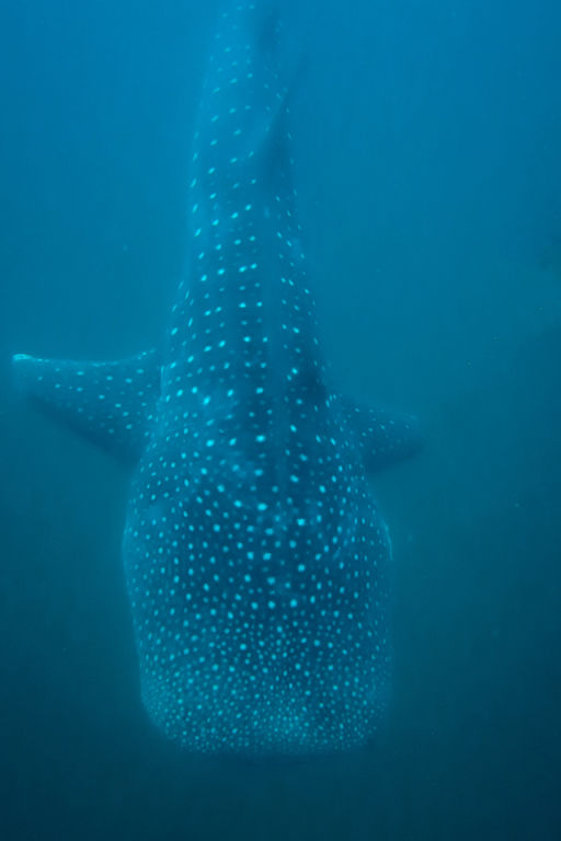 5ac7bd66-2e4a-4c17-b2c0-244d486c877d