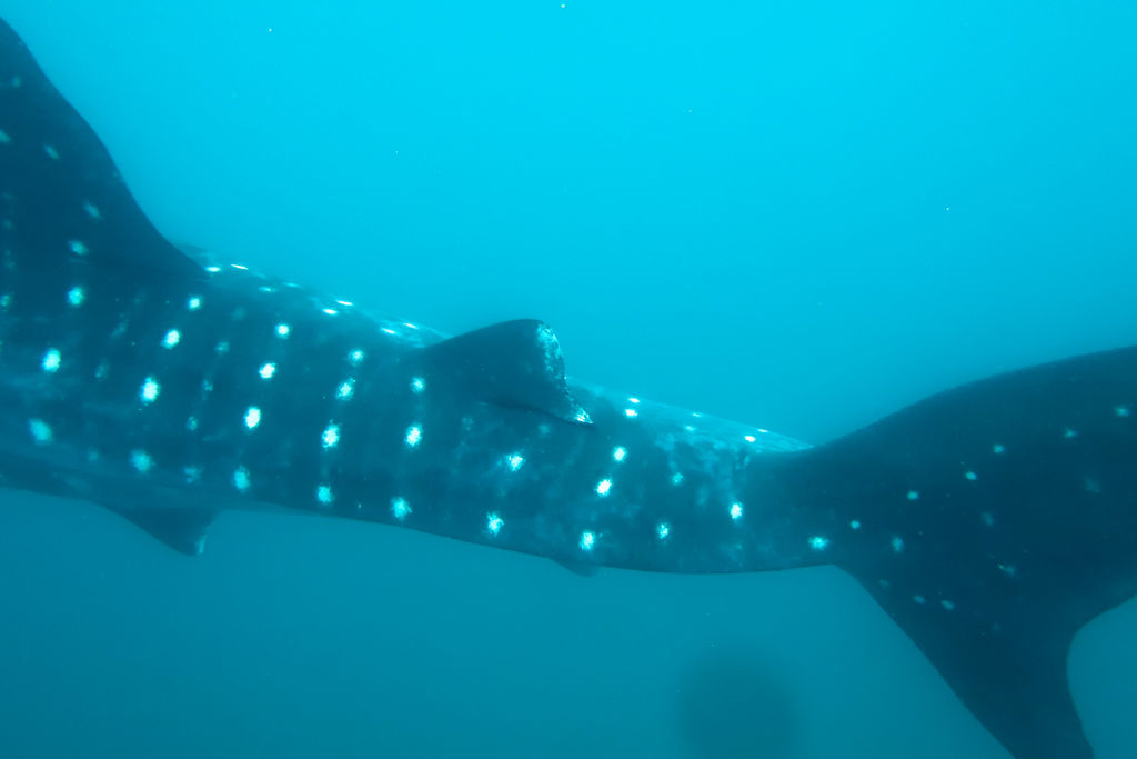 5ac7bd66-2e4a-4c17-b2c0-244d486c877d