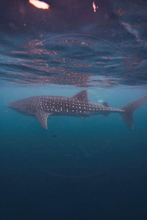 c70b9134-73b9-4c89-958a-3c4e609a3a7e