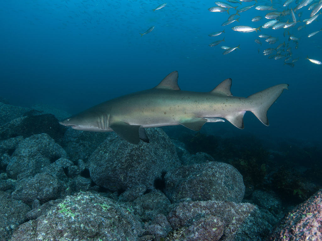 9461bbd6-b111-40ef-93c6-81b38166510d