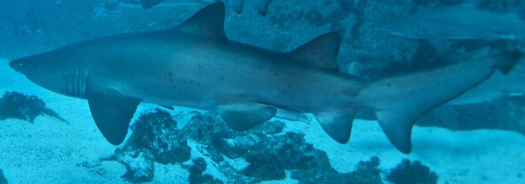 a61213e9-e9d4-49db-9f23-3432b701ccaf