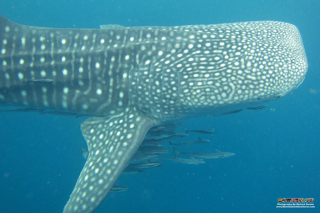 7ef6b2b8-d925-4da6-8371-5c9b0d7c06f2