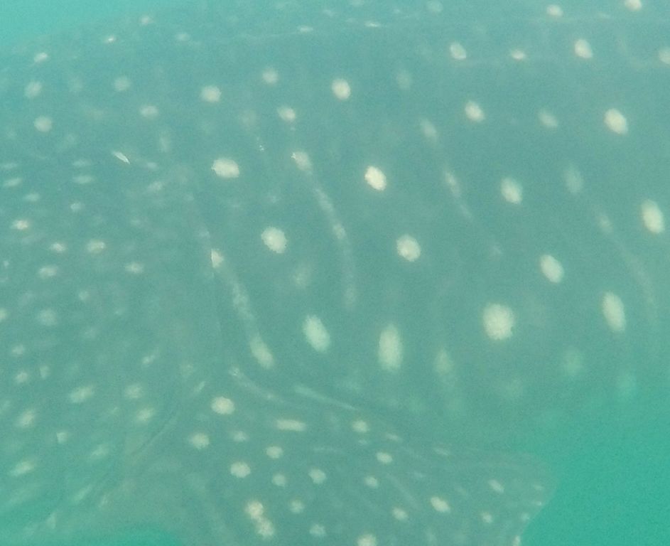 f34c109b-539c-482a-a299-ddd7dae3b6cb