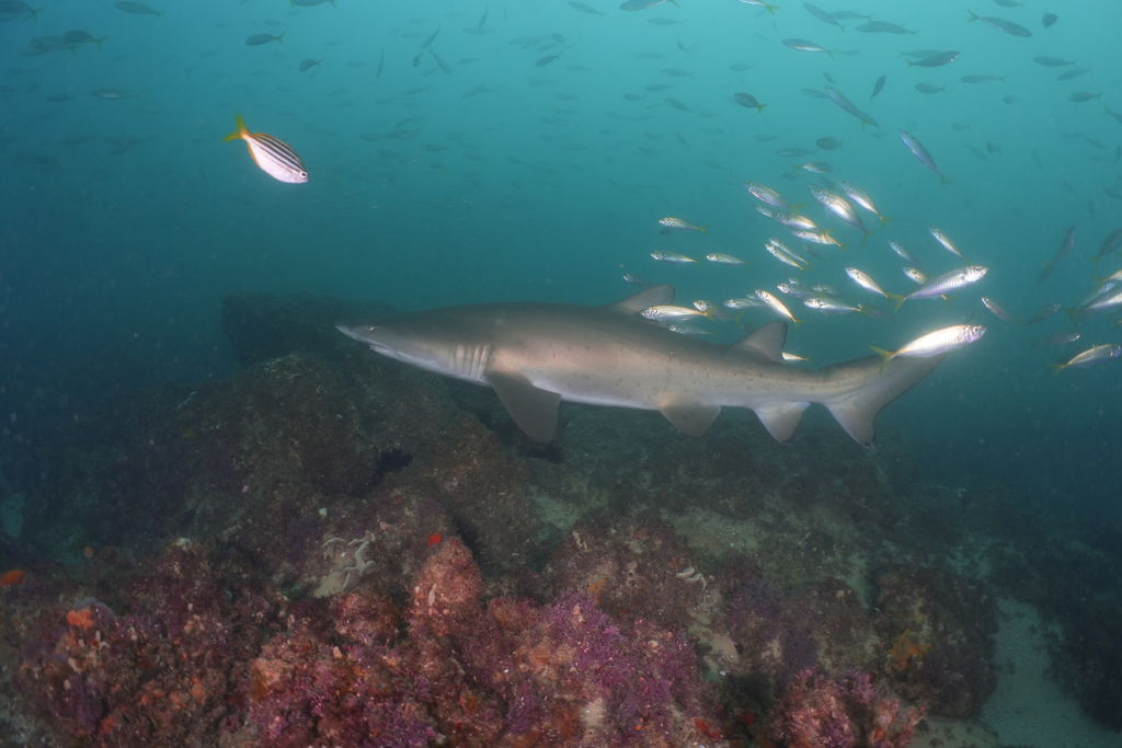 199f02c8-0dfc-480f-b442-89c6711c7554