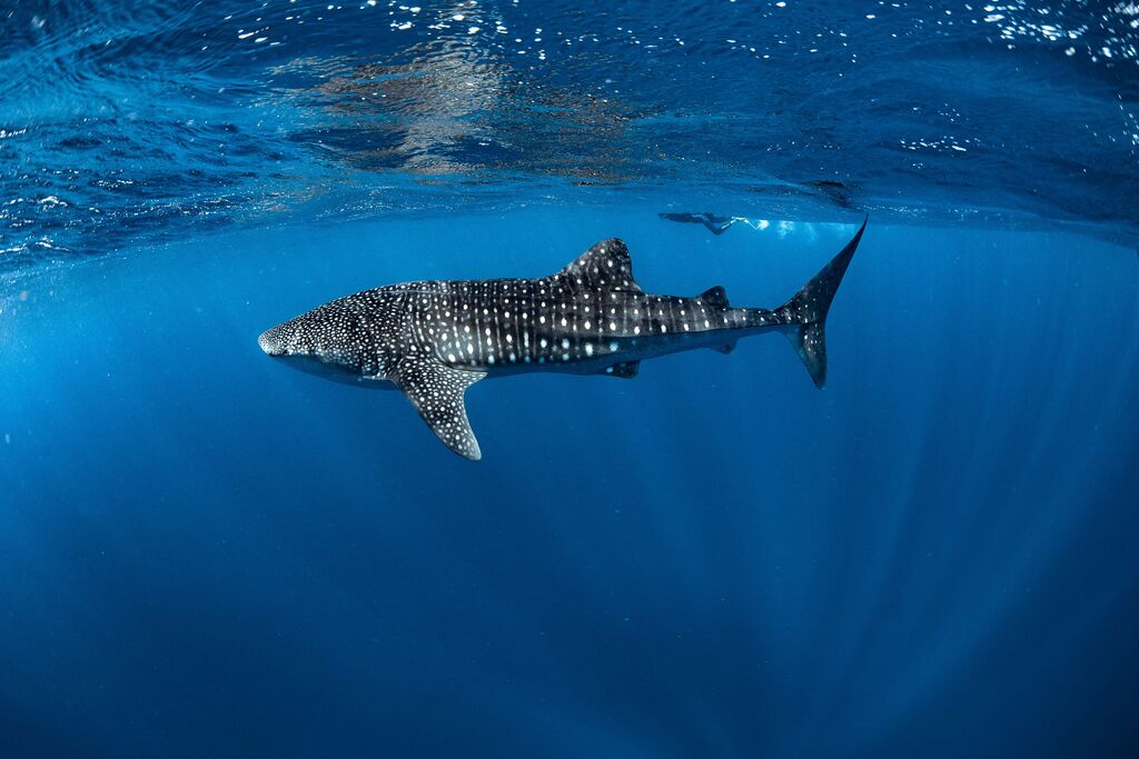 151d4dbc-f35d-4d9f-87a4-911135d150e8