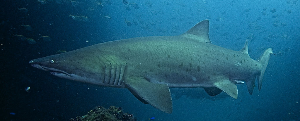 a7f80917-63e9-4005-b73b-5cdd8768c105