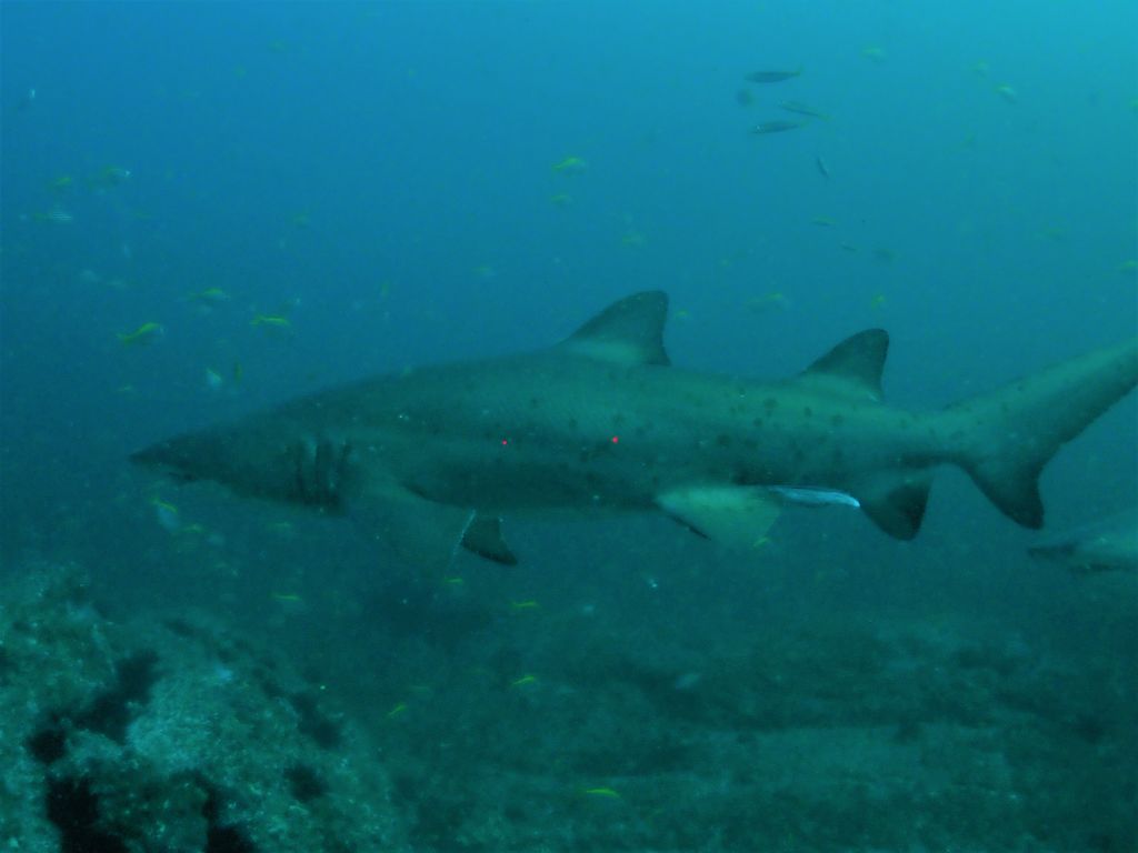 c965561f-d5af-4176-ad21-ee9b3dcc8f50