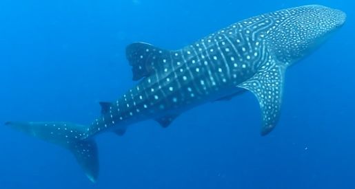 72bae134-7082-4848-80d3-28e3eb2c8880