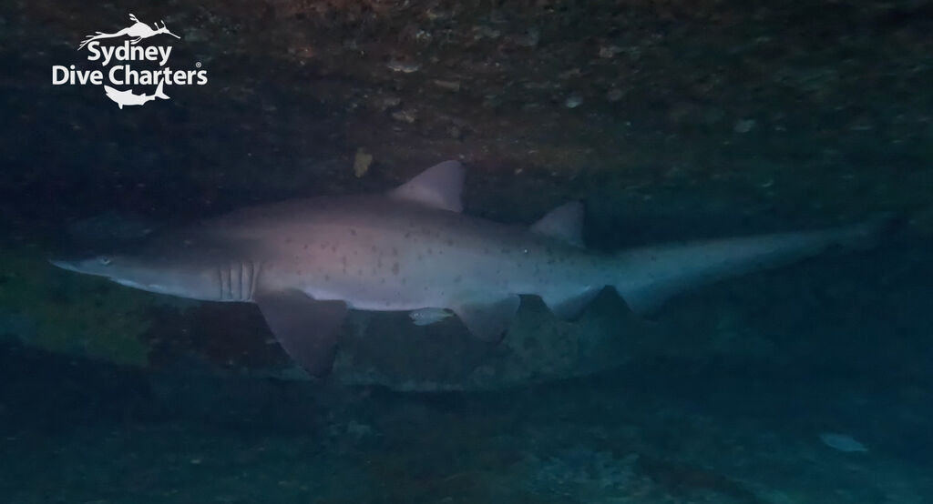 f851d59b-7e71-4b67-90ff-e1a19d627a48