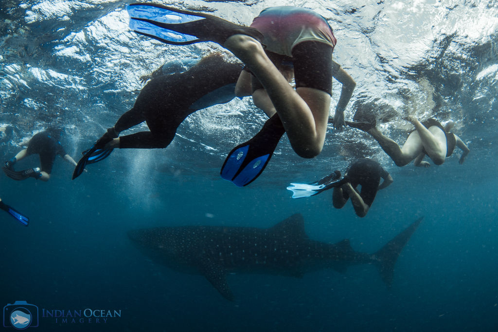 2bcddea7-b335-4efc-bd31-342e105e9a20