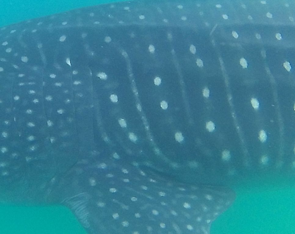 2bbe0748-d75e-47f4-b968-c7a37d7f2278