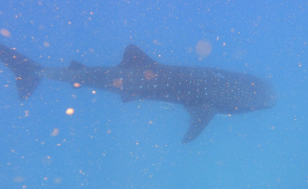 22280266-898a-4ae4-81c4-c681a435085a