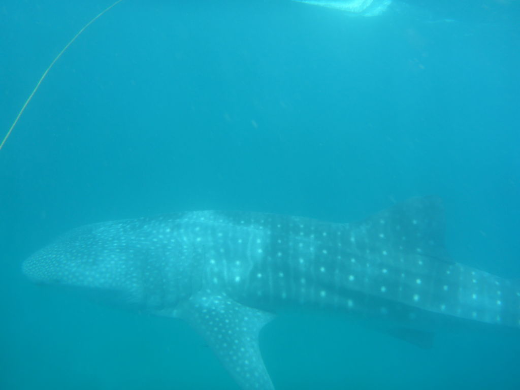 745d0190-efa6-4b9f-9e7a-d126cbd52e70