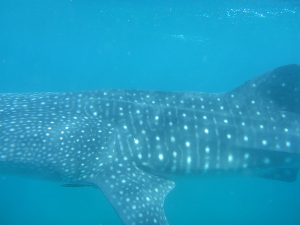 745d0190-efa6-4b9f-9e7a-d126cbd52e70