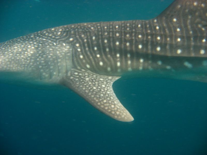 ca93d778-8a7e-408c-bce3-dec9295923c2