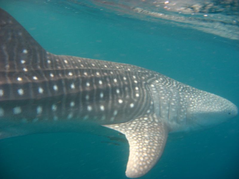 ca93d778-8a7e-408c-bce3-dec9295923c2