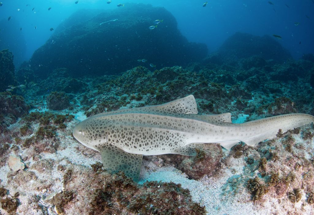 fb099ea0-0945-44b8-aedc-cee740e0e134