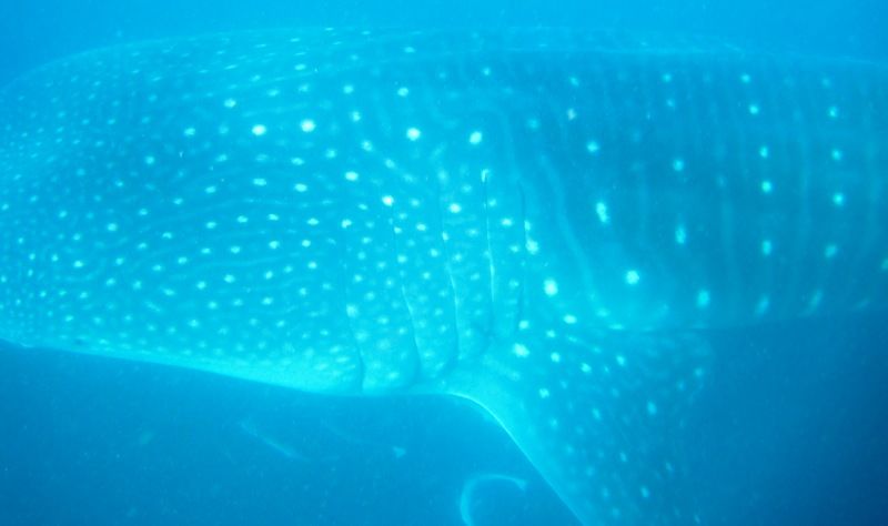 9a175289-fc15-4cee-baa3-d8bcc9cc81d8