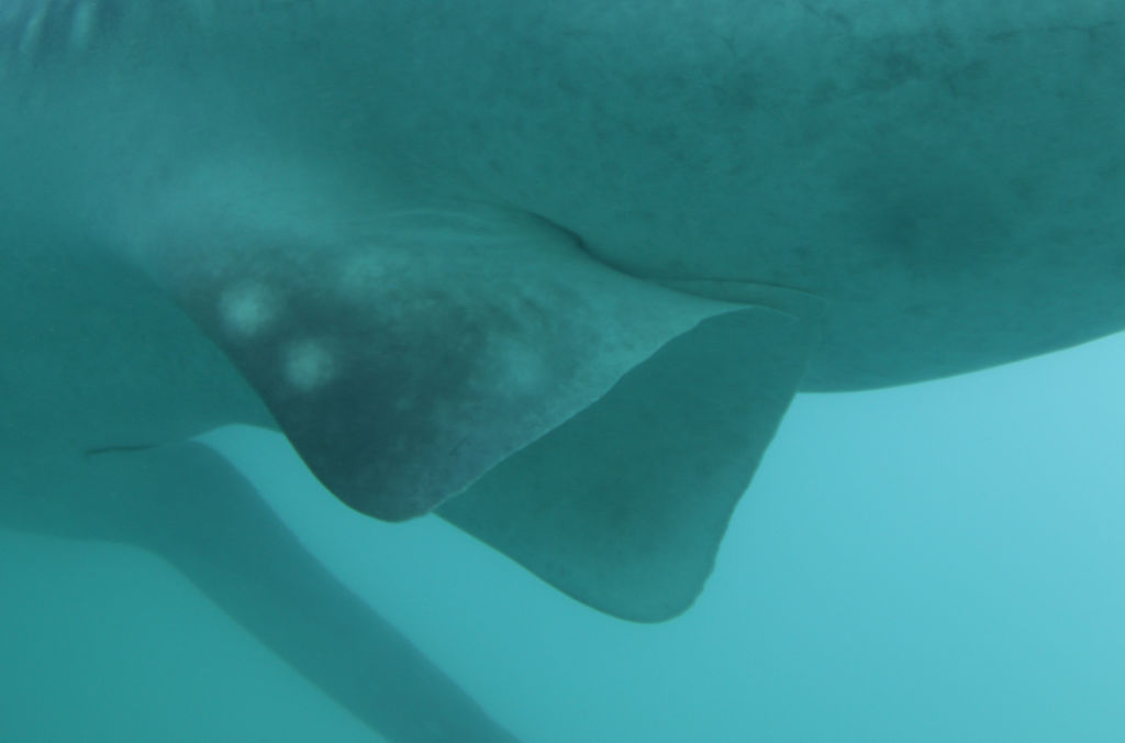 ffa1fffb-175c-45b8-bc0b-802c8af48ee8