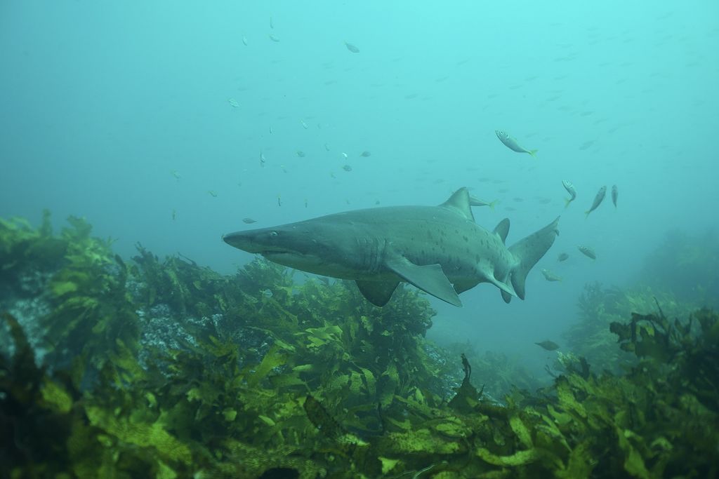 88347eed-bb4f-4517-9a0b-ad9a88e69581