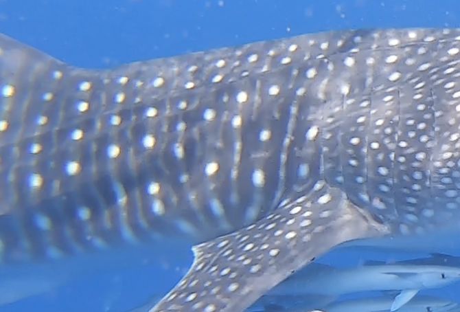 717c6682-8e59-421c-bf99-2bb8a0f1dd98