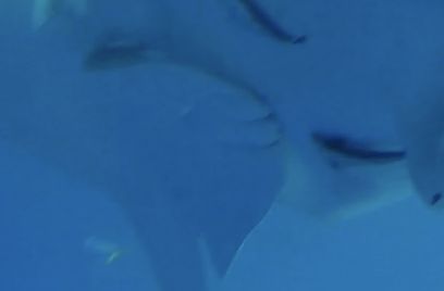 717c6682-8e59-421c-bf99-2bb8a0f1dd98