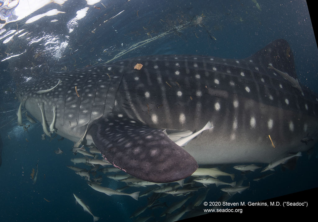 29bb5adc-d8f3-4e16-b62f-9816ea20748f