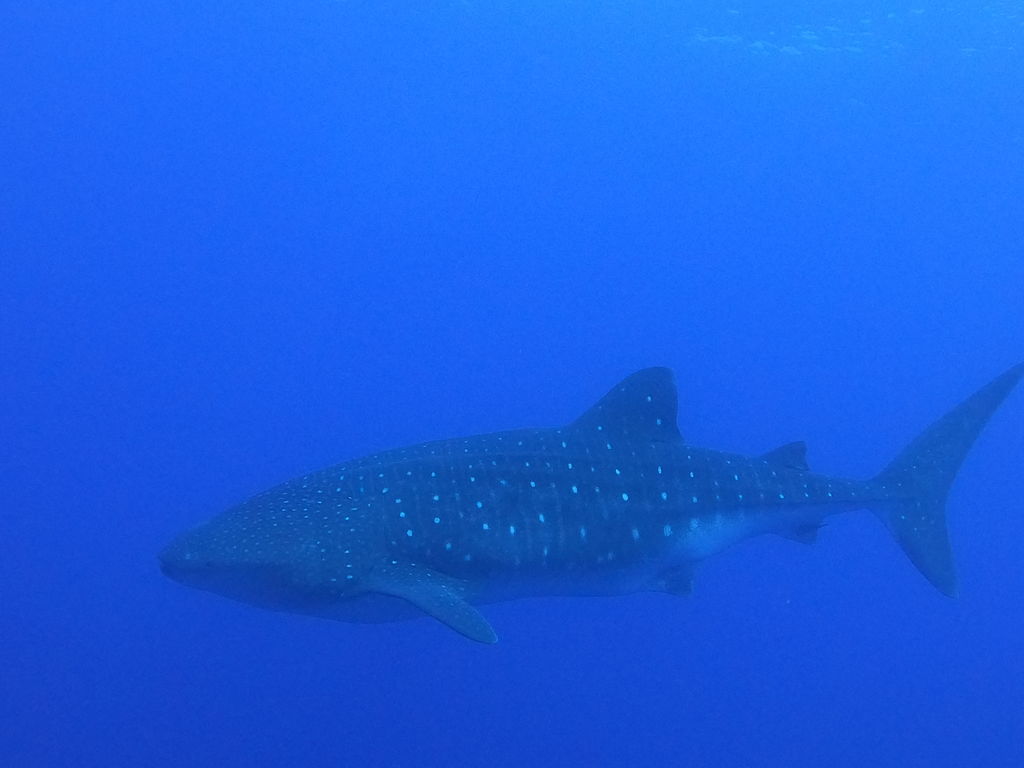 9f802d2e-9d7e-45cd-934b-056ad3ad804a