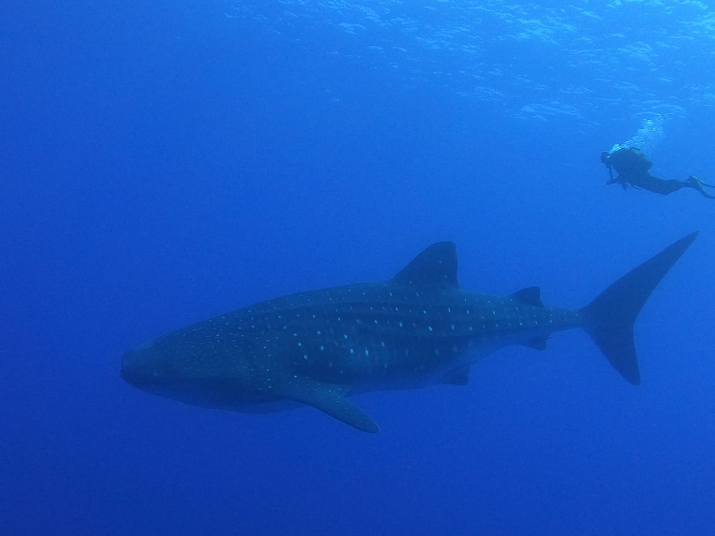 9f802d2e-9d7e-45cd-934b-056ad3ad804a