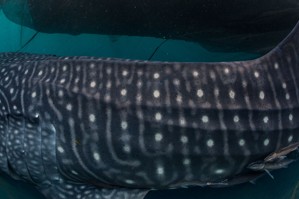 57127a28-06fd-4765-8d4e-2074877c90ca