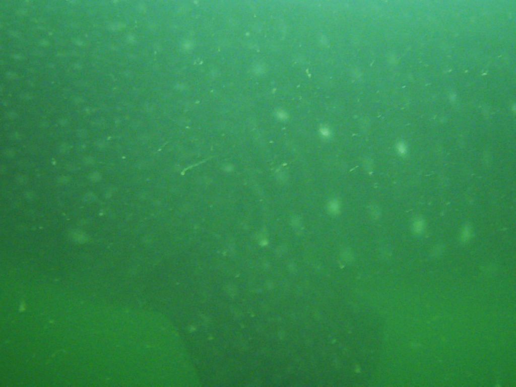 132242c8-36db-49de-a56f-a5dd37139647