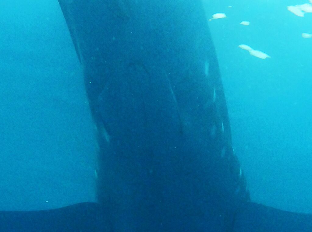 b7ccaab1-583d-4b32-96bf-df4091fff376