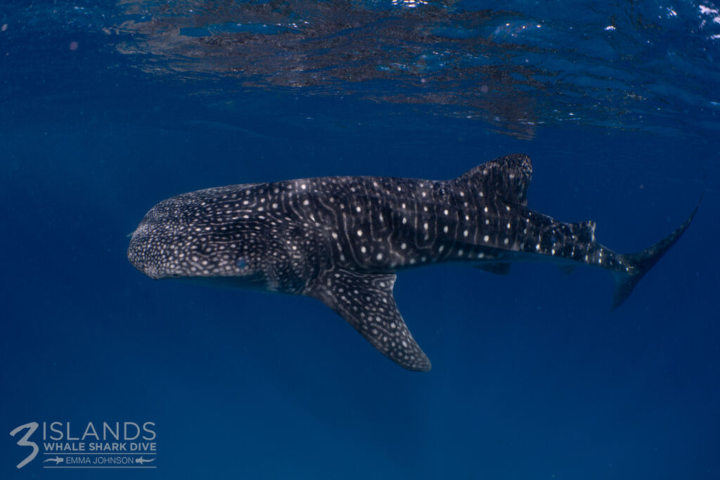 42d10834-9d70-48b4-80e7-56deae082db6