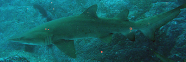 9367b118-dd1d-4f6c-bf6f-69671f01c09e