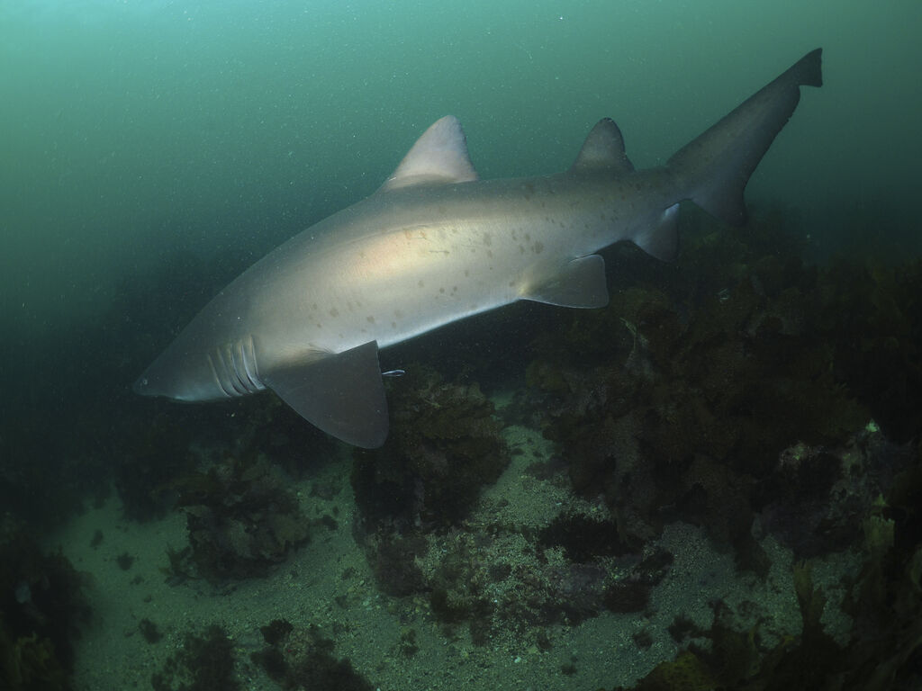 2cb02616-1f23-4ad2-9da3-4f919554f3b0