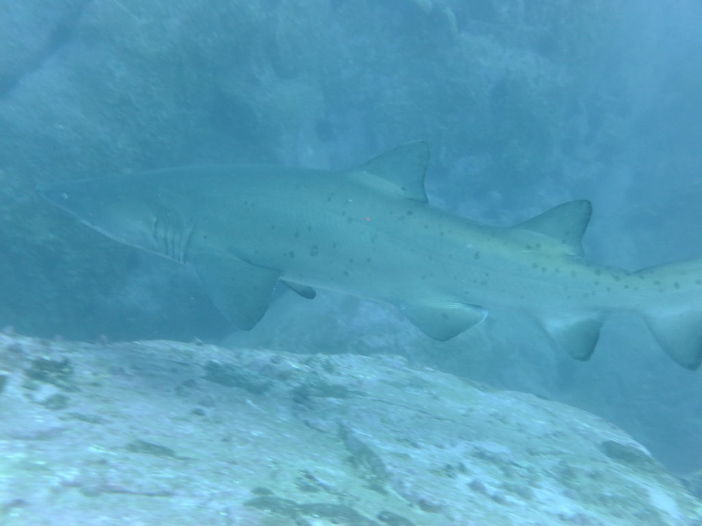 021664c0-fd37-4794-8d2f-315984406fd8