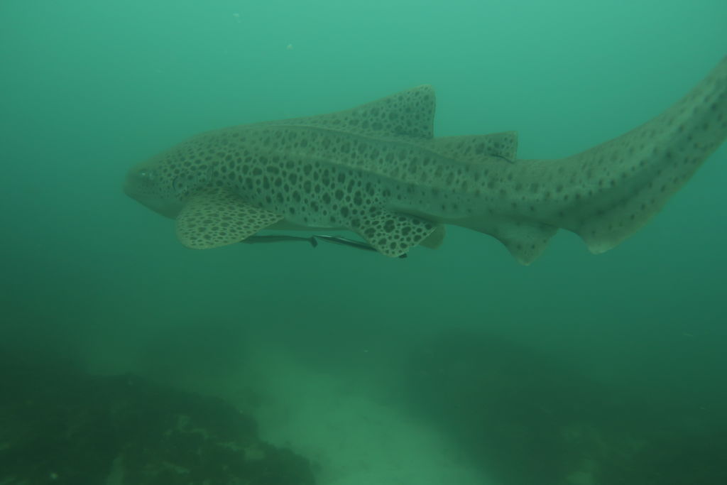 7c6a1355-c866-4f11-b71a-22f799319afc