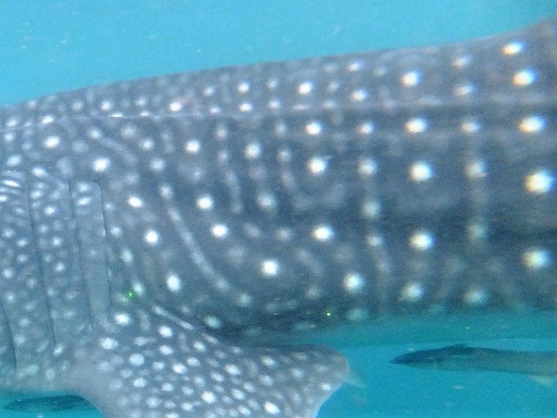 33a4ef57-746f-4b0b-8b87-152ca6f17873