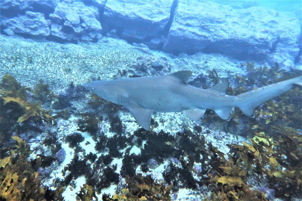 b9fe2139-26d3-4760-9414-2cb1ed89b3a6