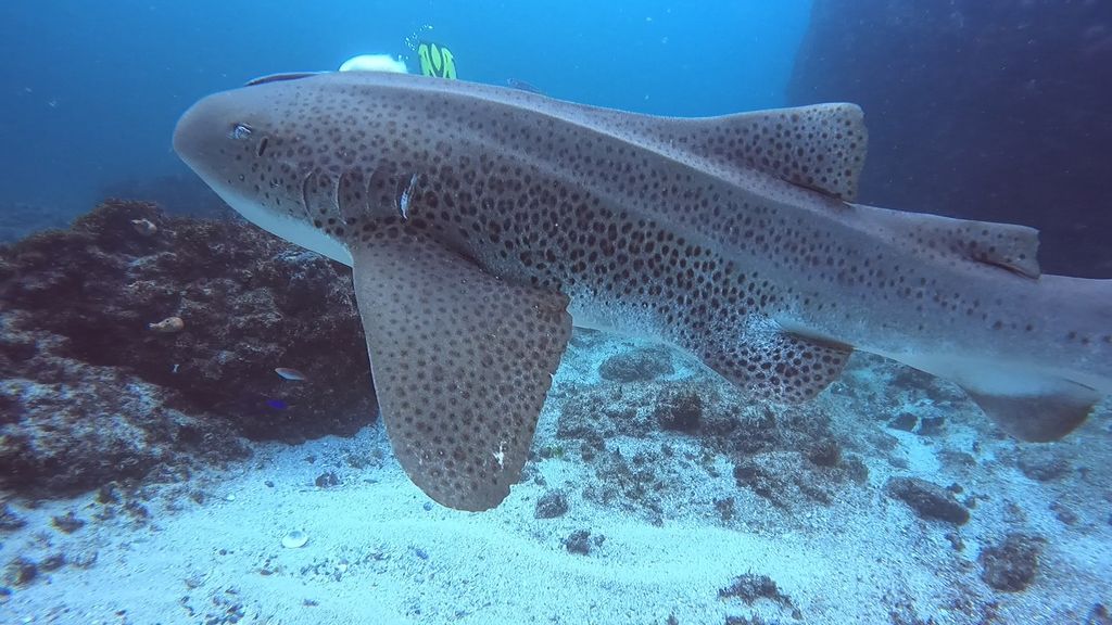 d58b0845-ad37-49ce-9310-b6304a74bc4a