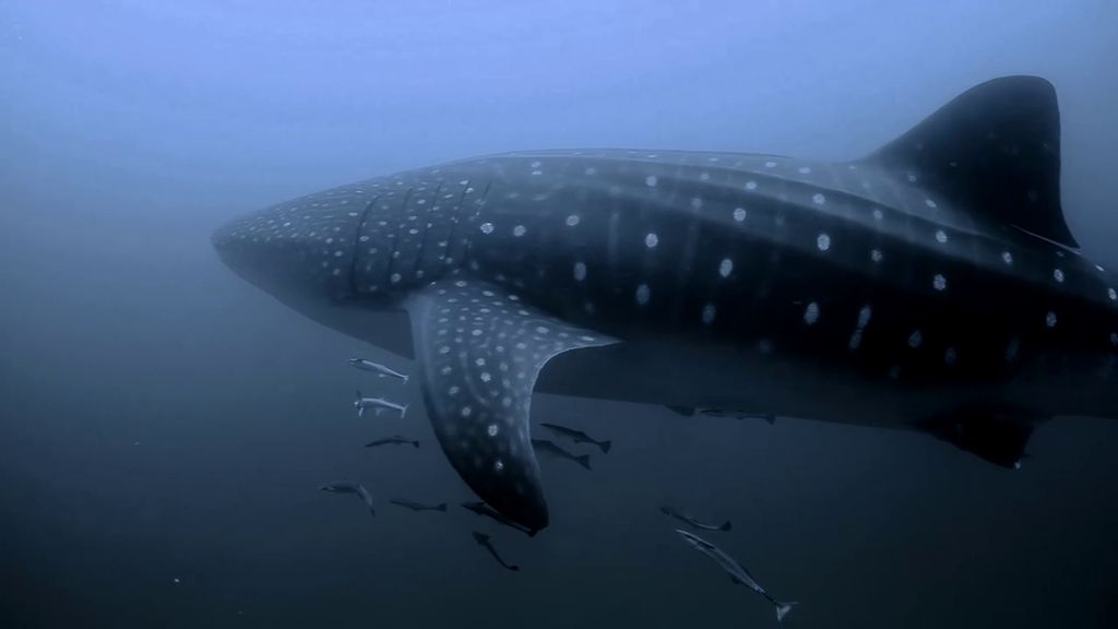 9e6ce0e7-7db1-4d56-902d-24f4125f16f7